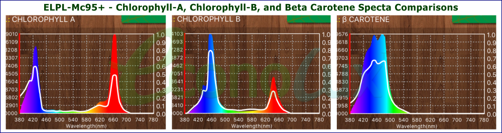 Mc95+ - Chlorophyll-A, Chlorophyll-B, and Beta Carotene Specta Comparisons