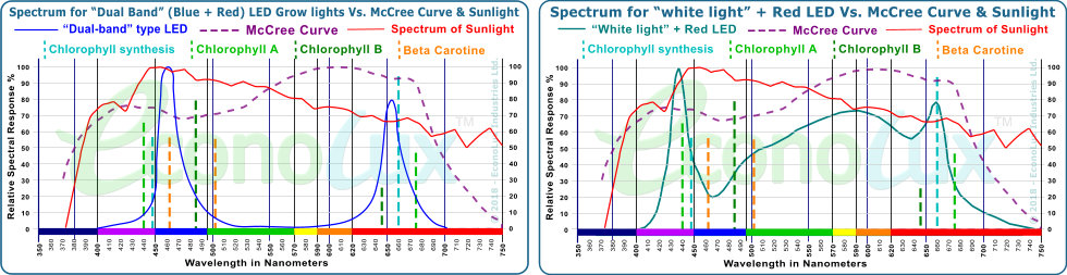 Comparison of the spectrum of typical Blue + Red LED and 'White' + Red LED grow-lights to the McCree Curve & Sunlight