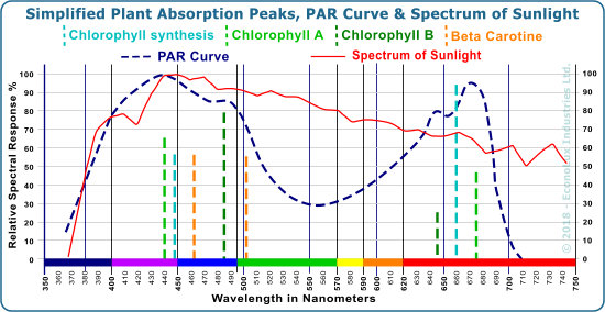 The PAR curve coampared to the spectrum of sunshine