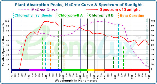 Plant Absorption Peaks, the McCree Curve, nad the spectrum of Sunlight