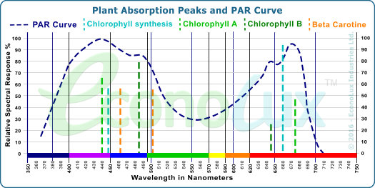 Plant Absotption Peaks and PAR Curve