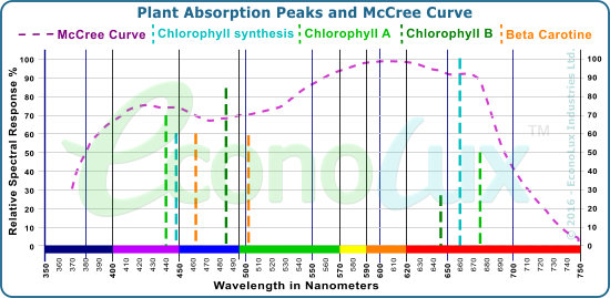 The McCree Curve showing average plaant light absorption